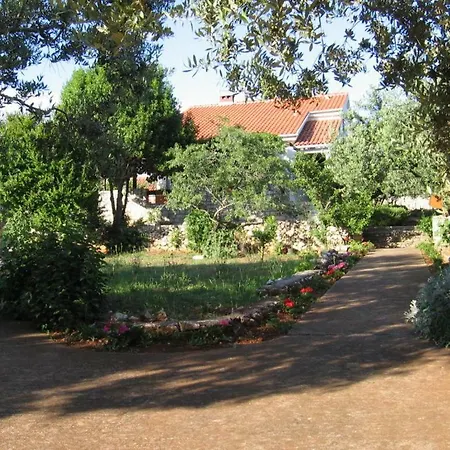 Maslinski Dvori Silba
