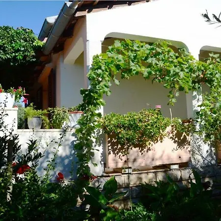 Maslinski Dvori Apartment Silba